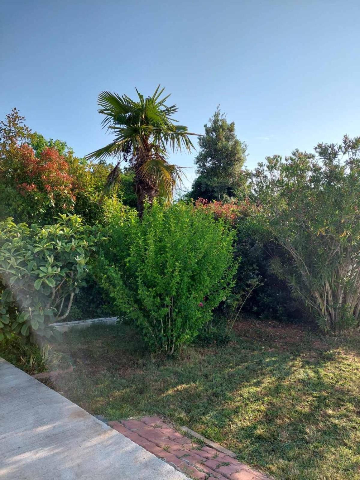 Soline Ada Apartamento Pjescana Uvala Exterior foto